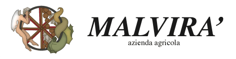 Logo des Weinproduzenten Malvirà aus dem Piemont