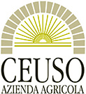 Logo des Weinproduzenten Ceuso aus Sizilien