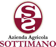 Logo des Weinproduzenten Sottimano aus dem Piemont
